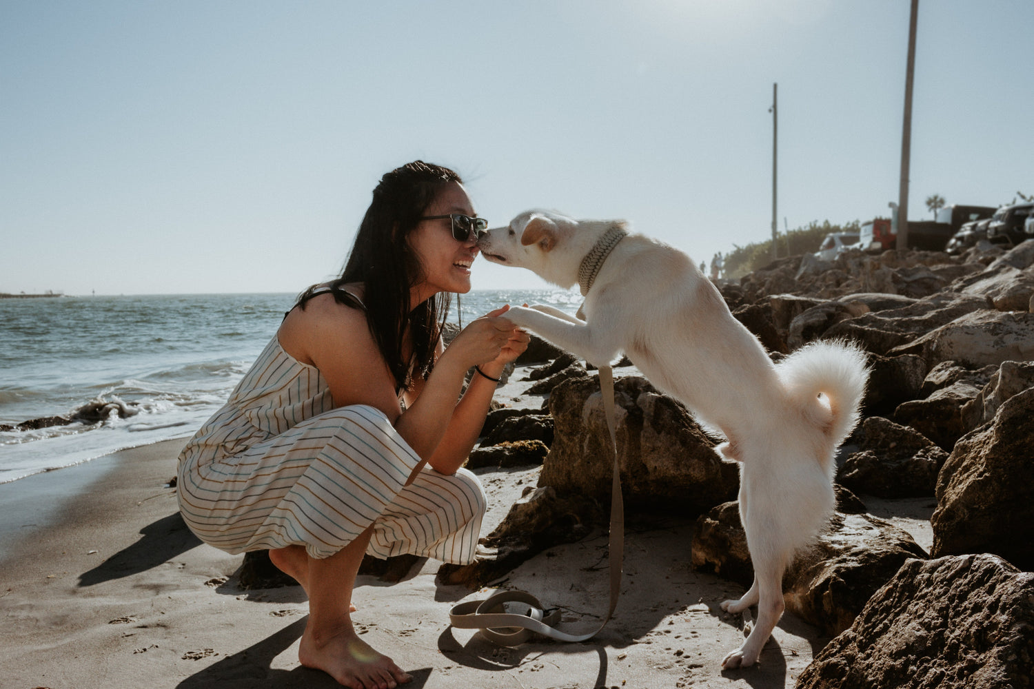 Asian American girl kneeling down nose to nose with a cream white dog standing on his hind legs and holding his paws in her hands with the beach in the background 