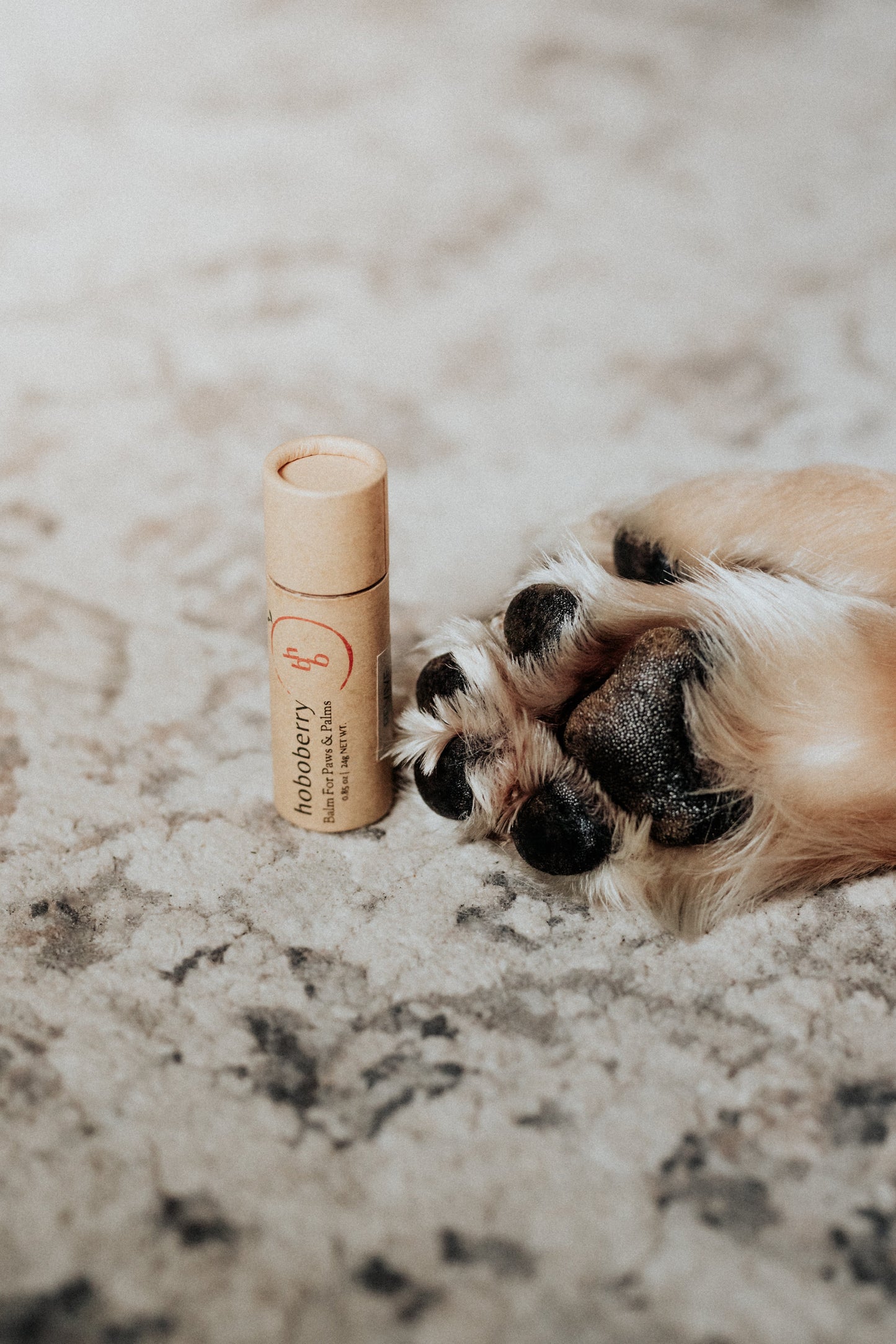 a kraft paper tube of hoboberry balm on the left next to golden retriever paws on the right side