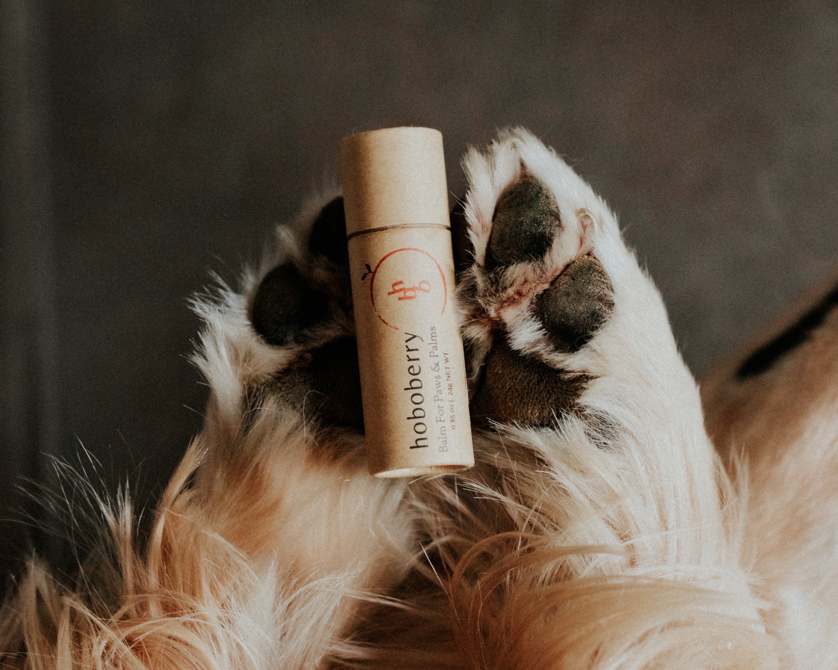 Dog paw shop balm for summer