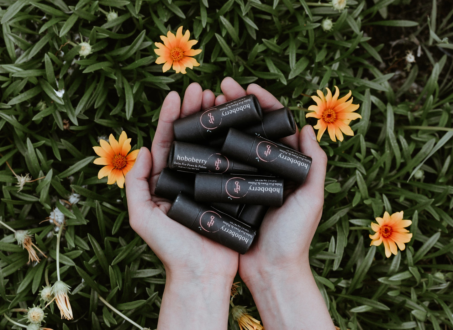 aerial view of a pair of hands holding a pile of black kraft paper tube hoboberry balms with green grass and small yellow flowers in the background