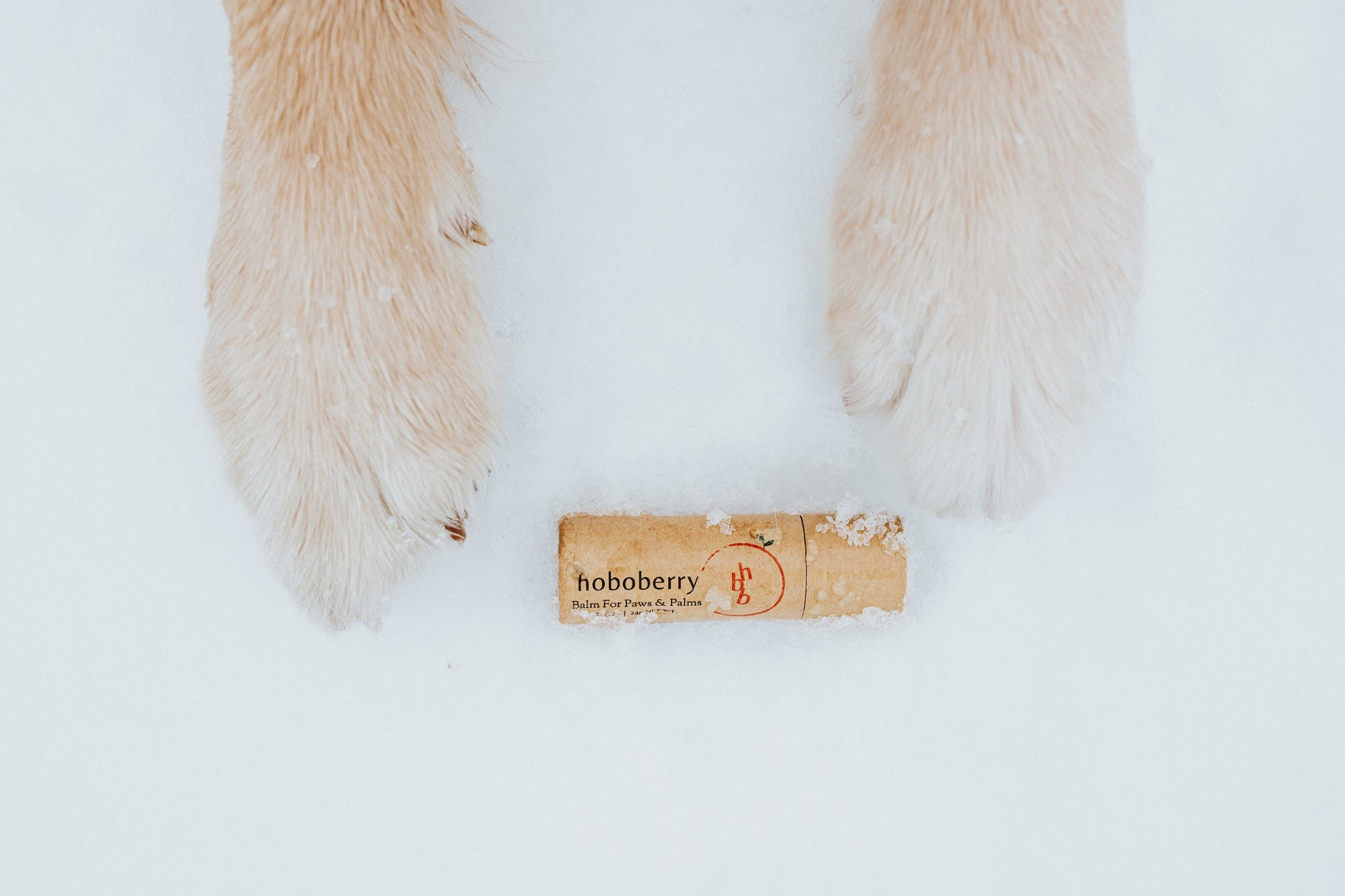 kraft paper tube paw balm laying in between two golden retriever's paws in the snow